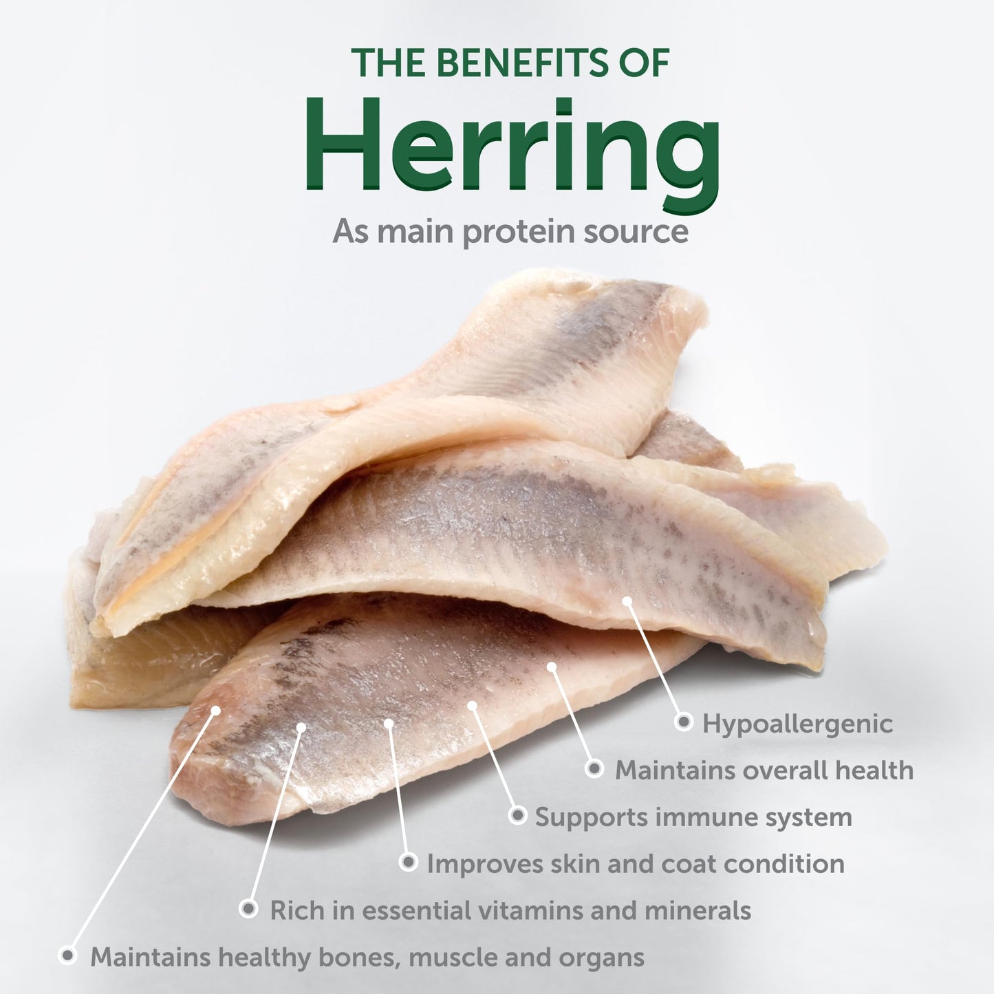 Grain-Free Dry Cat Food with Herring