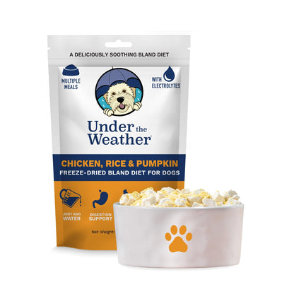 Easy-Digest Bland Diet Dog Food with Electrolytes