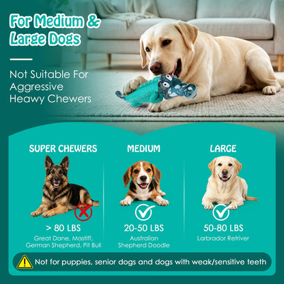 Tough Dog Chew Toy for Aggressive Chewers