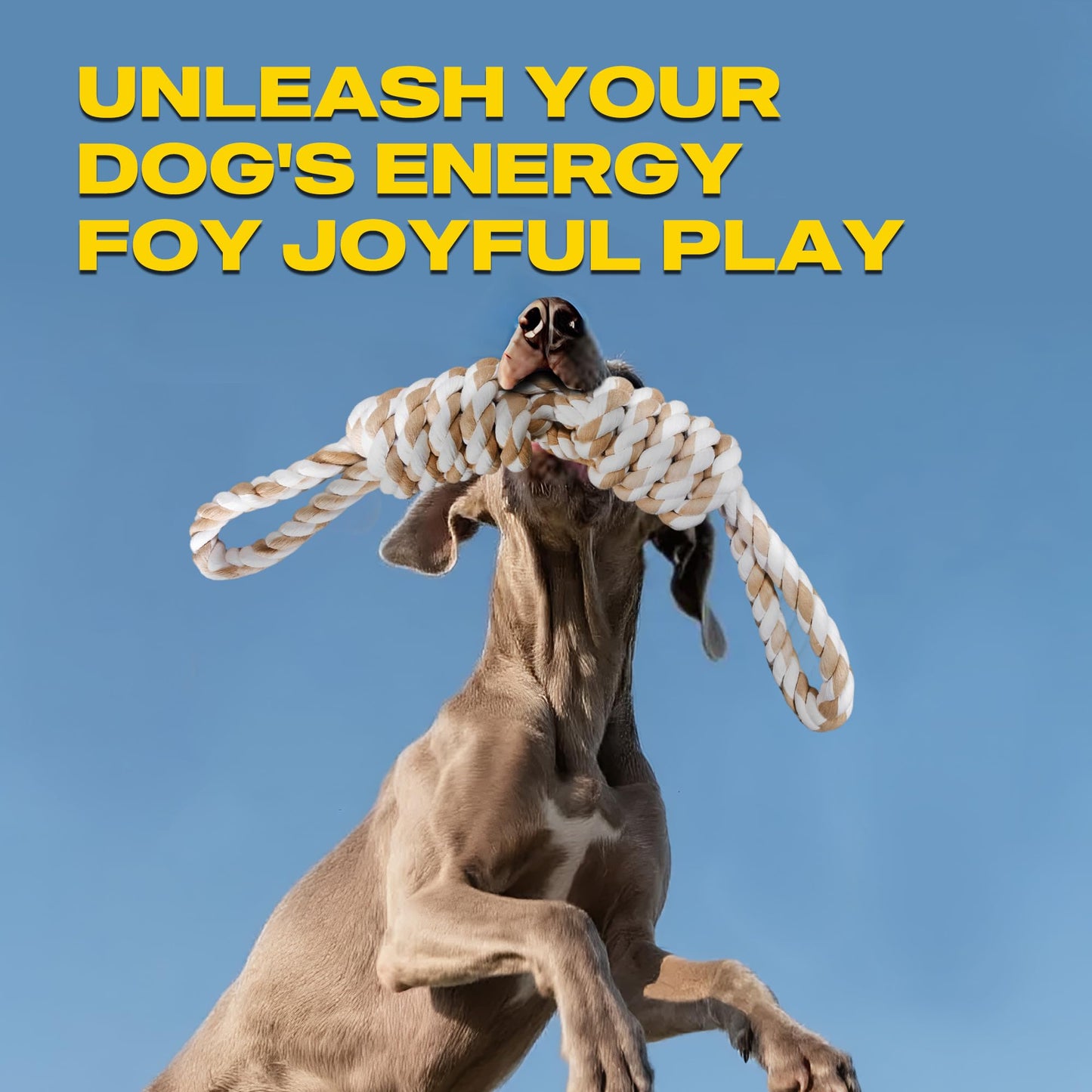 5-Knot Cotton Rope Dog Toy for Tug & Chew