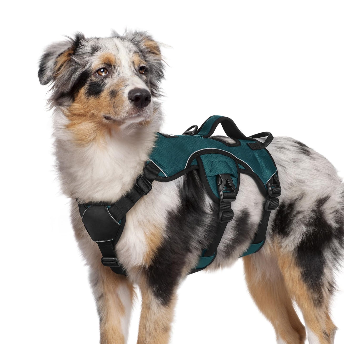 No-Pull Dog Harness with Lift Handle