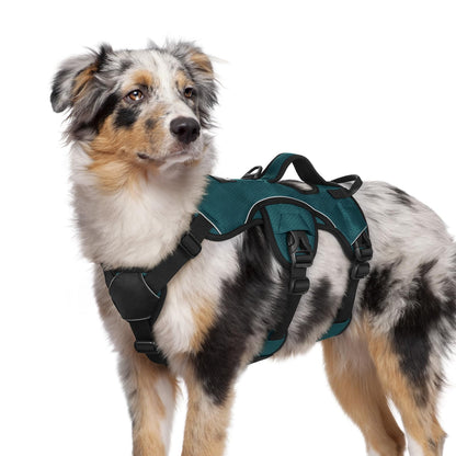 No-Pull Dog Harness with Lift Handle