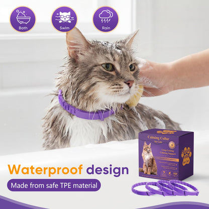 Calming Cat Collar with Long-Lasting Pheromones
