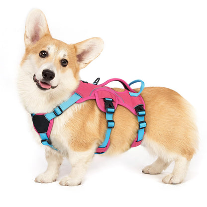 No-Pull Dog Harness with Lift Handle