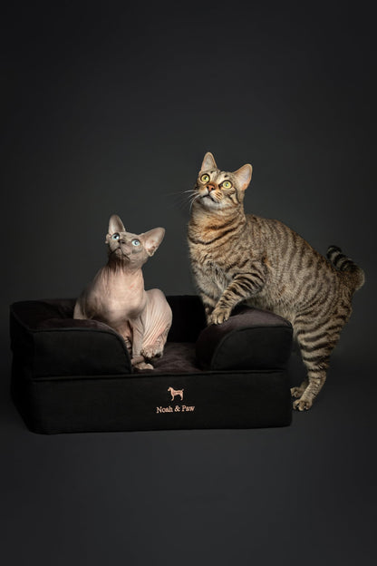 Cooling Memory Foam Orthopedic Pet Bed