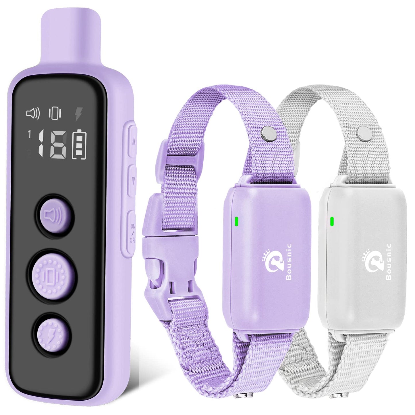 Waterproof Remote Training Collar for Two Dogs