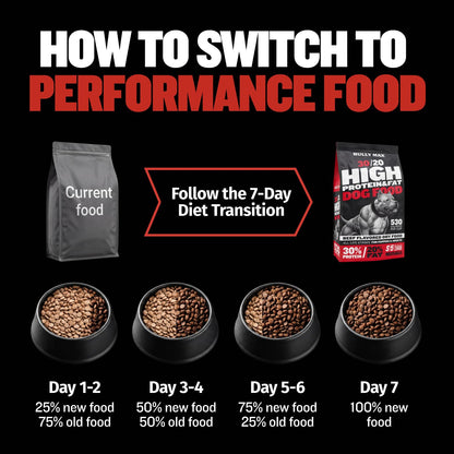 High-Protein Dry Dog Food for Adults & Puppies