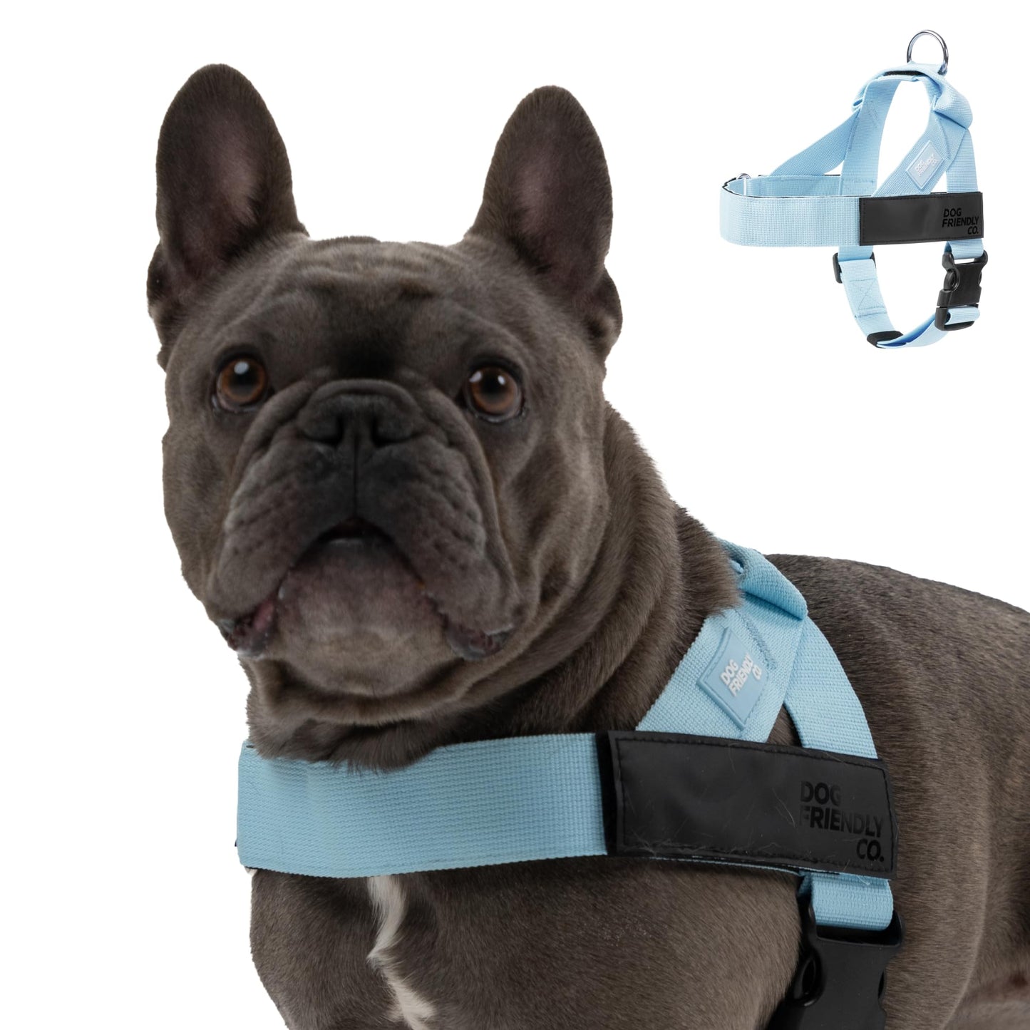 Comfort-Fit Everyday Dog Harness