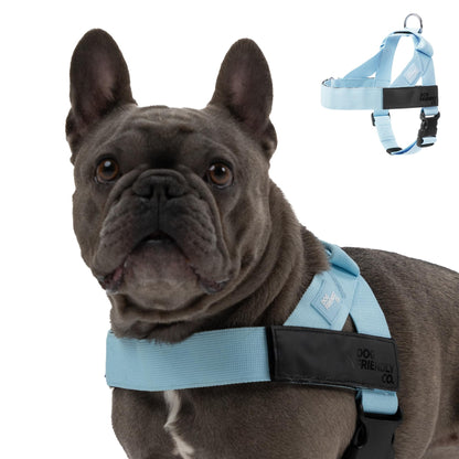 Comfort-Fit Everyday Dog Harness