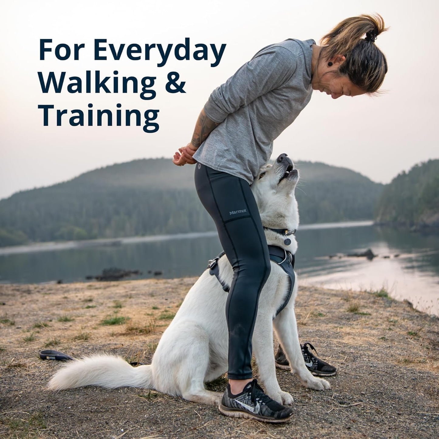 Front Range Padded Dog Harness