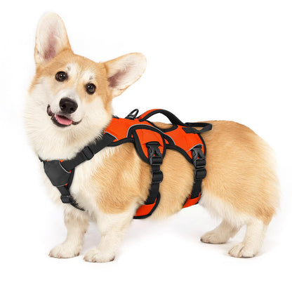 No-Pull Dog Harness with Lift Handle