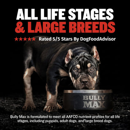 High-Protein Dry Dog Food for Adults & Puppies