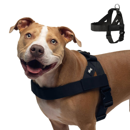 Comfort-Fit Everyday Dog Harness