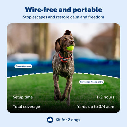 Wireless Dog Fence with Rechargeable Training Collar