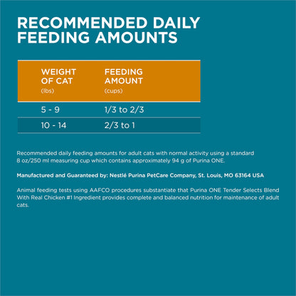 Natural Dry Cat Food with Real Chicken