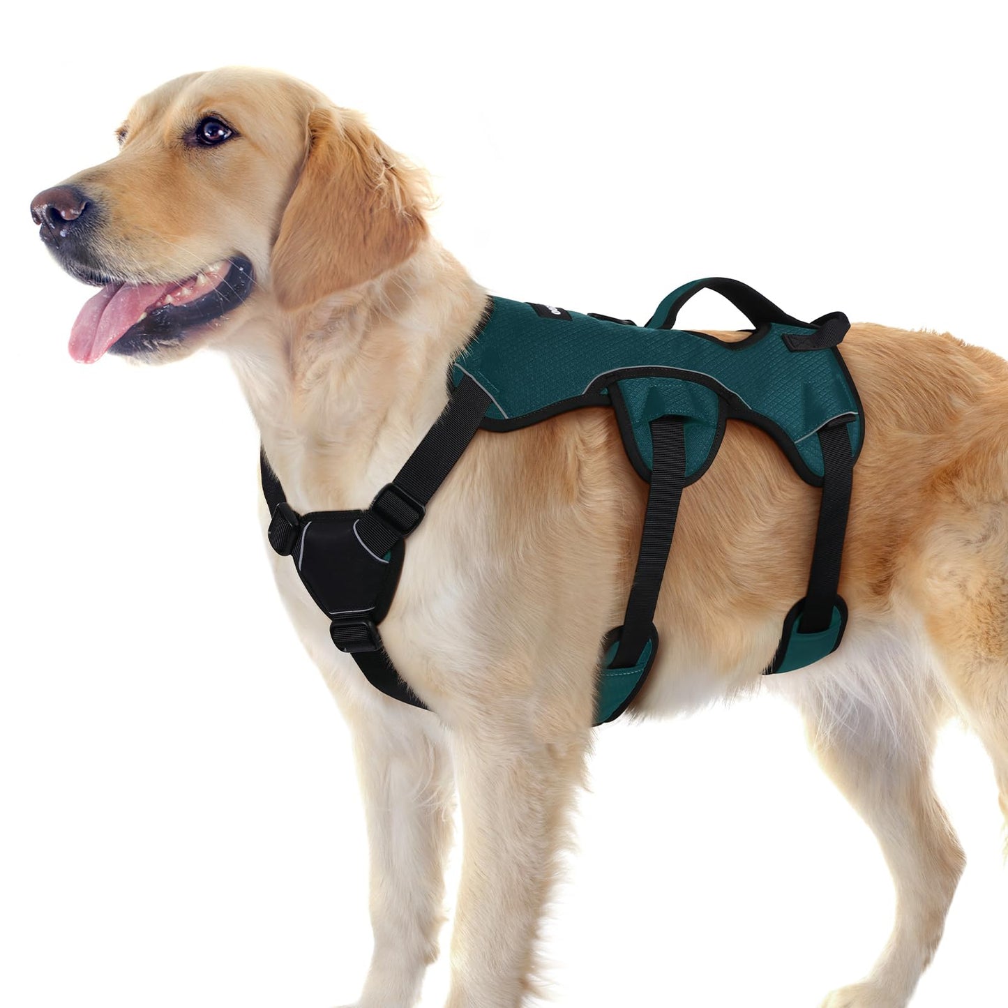 No-Pull Dog Harness with Lift Handle