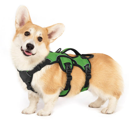 No-Pull Dog Harness with Lift Handle