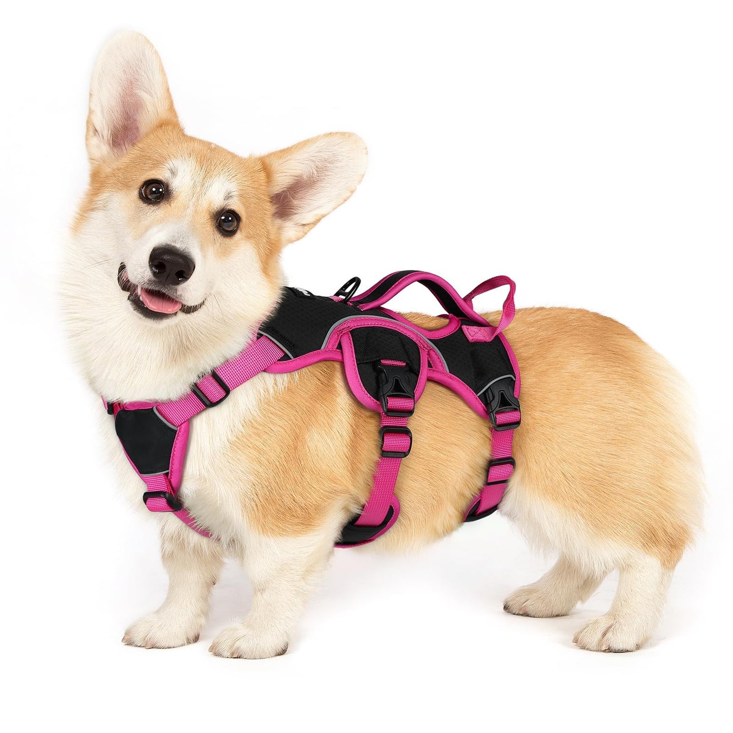 No-Pull Dog Harness with Lift Handle