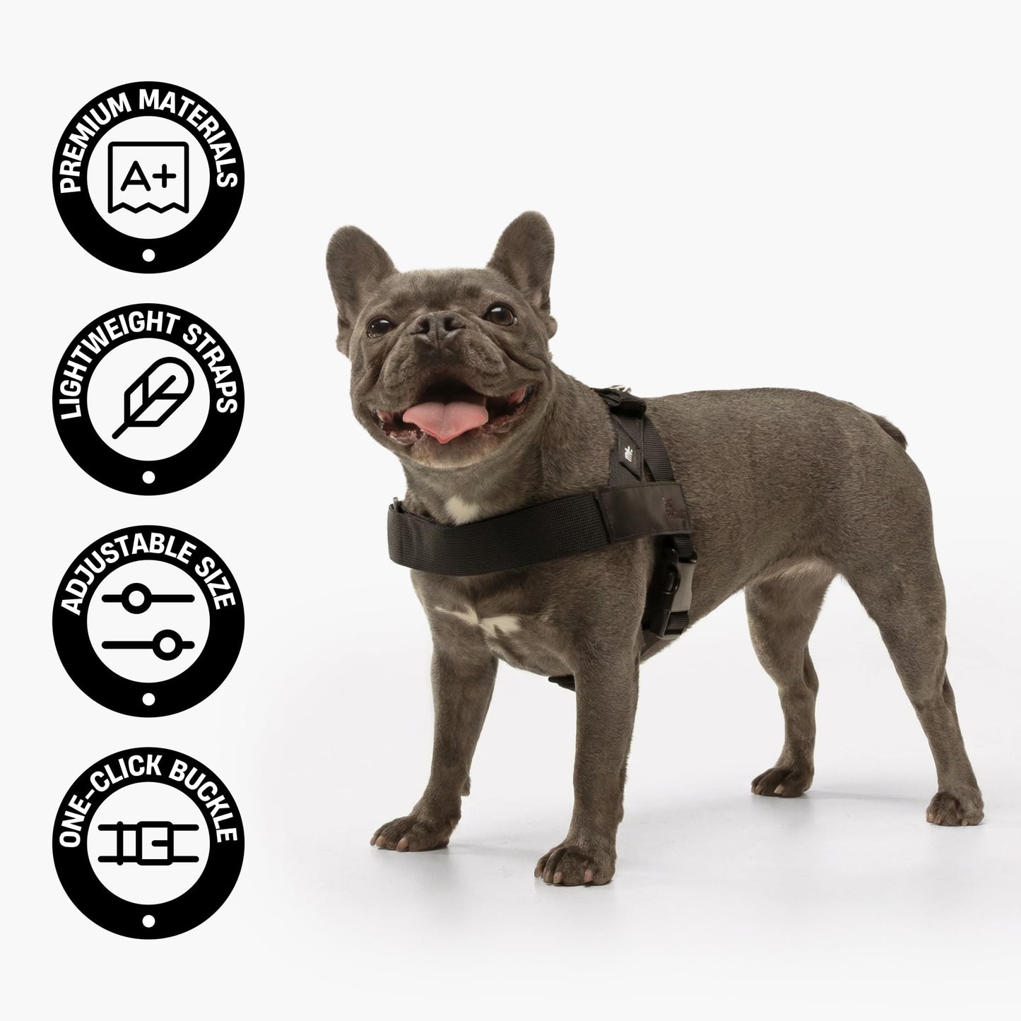 Comfort-Fit Everyday Dog Harness