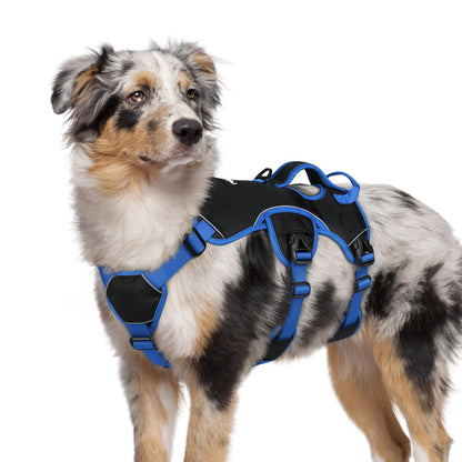 No-Pull Dog Harness with Lift Handle