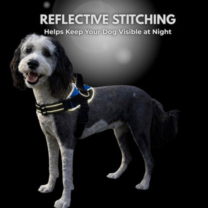 No-Pull Padded Dog Harness with 3 Leash Clips