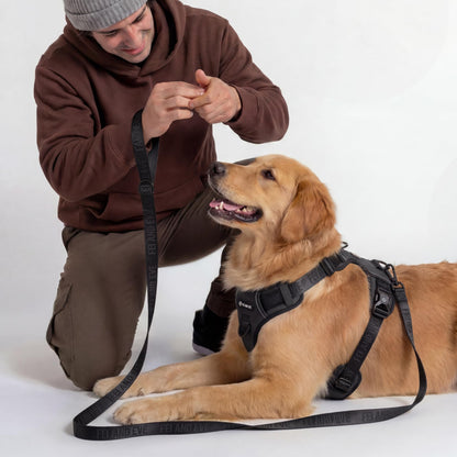Cloud Comfort Dog Harness for Medium & Large Dogs
