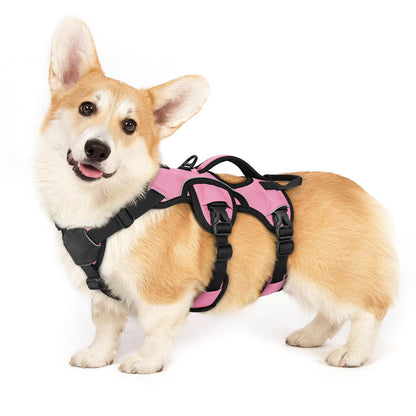 No-Pull Dog Harness with Lift Handle