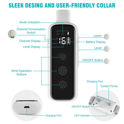 Waterproof Remote Training Collar for Two Dogs