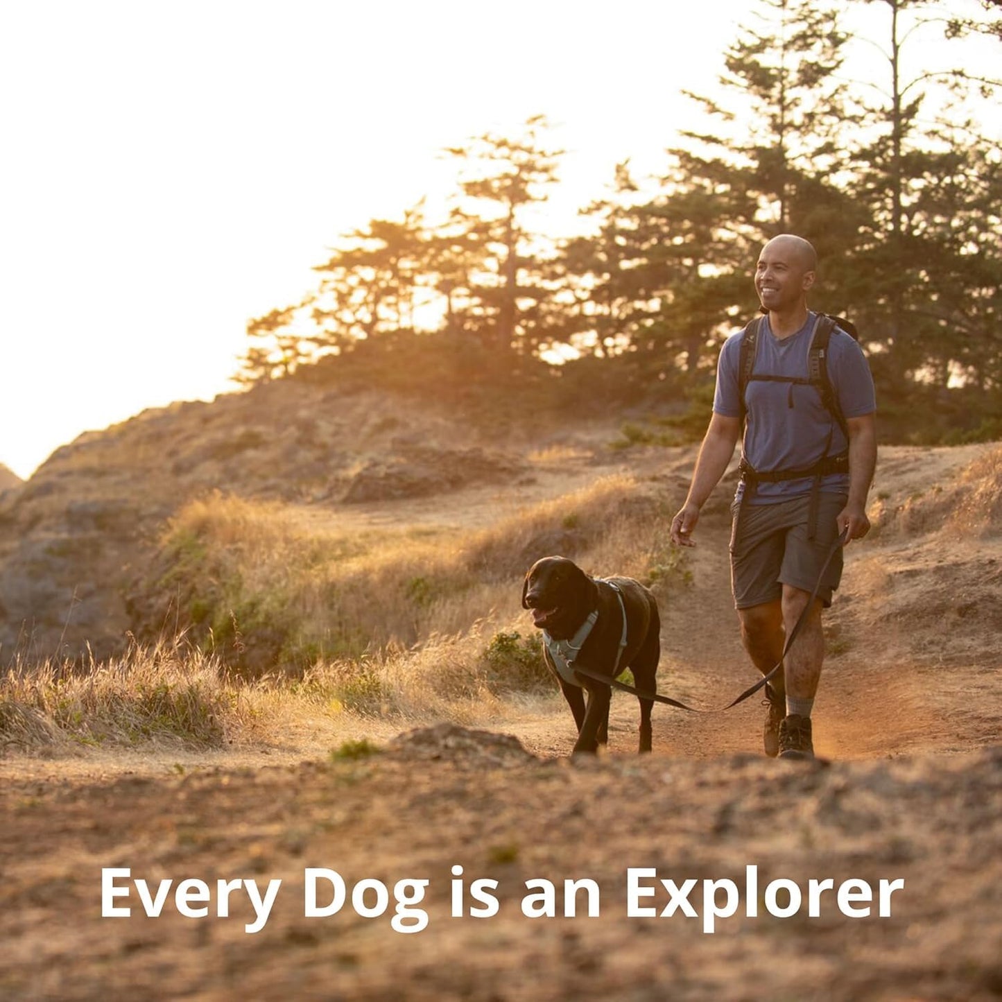Front Range Padded Dog Harness