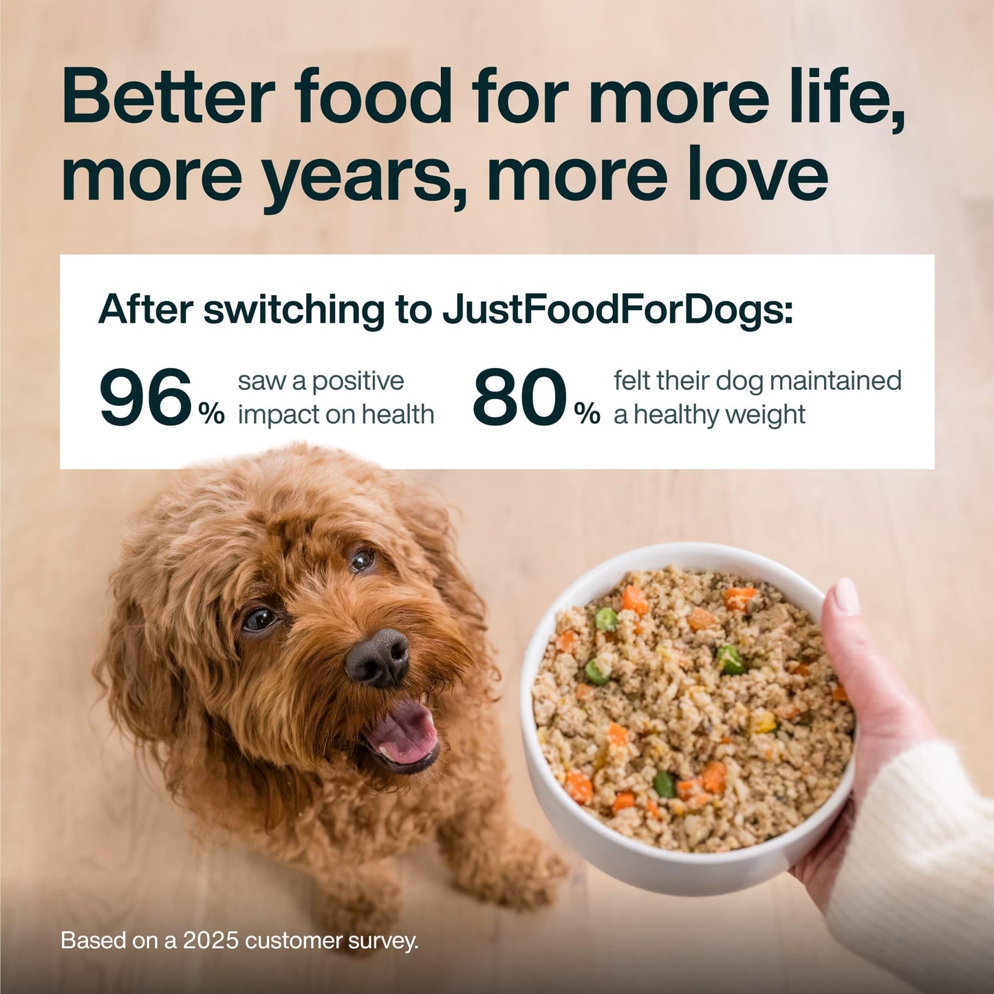 Fresh Wet Dog Food with Human-Grade Ingredients