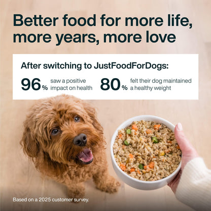 Fresh Wet Dog Food with Human-Grade Ingredients