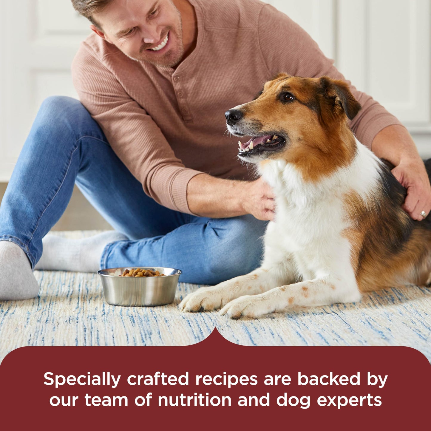 Nutrish Rachael Ray Adult Dry Dog Food Real Beef