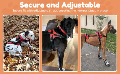 Full-Body Dog Lift Harness with Multi-Way Support