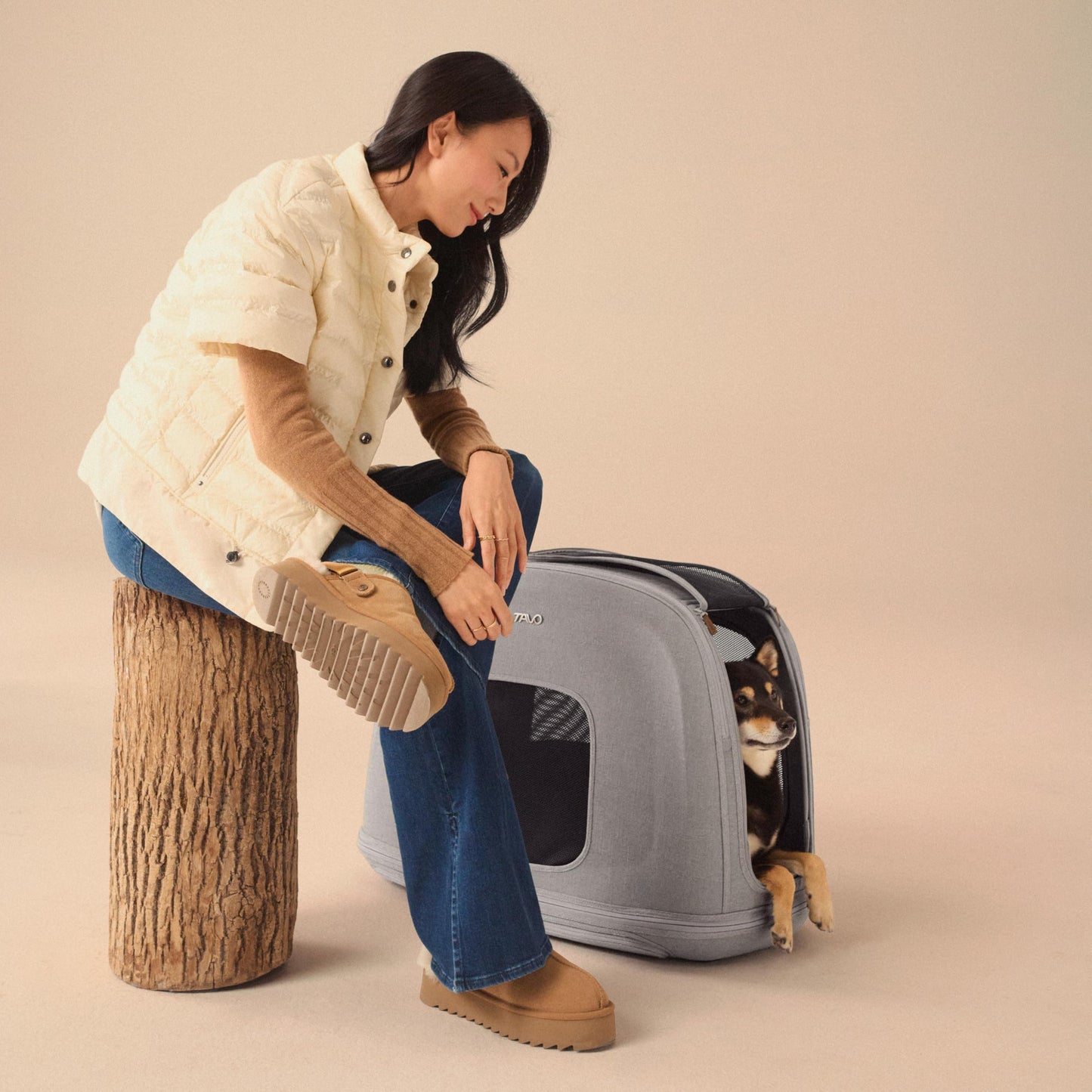 Crash-Tested Pet Travel Crate with Memory Foam