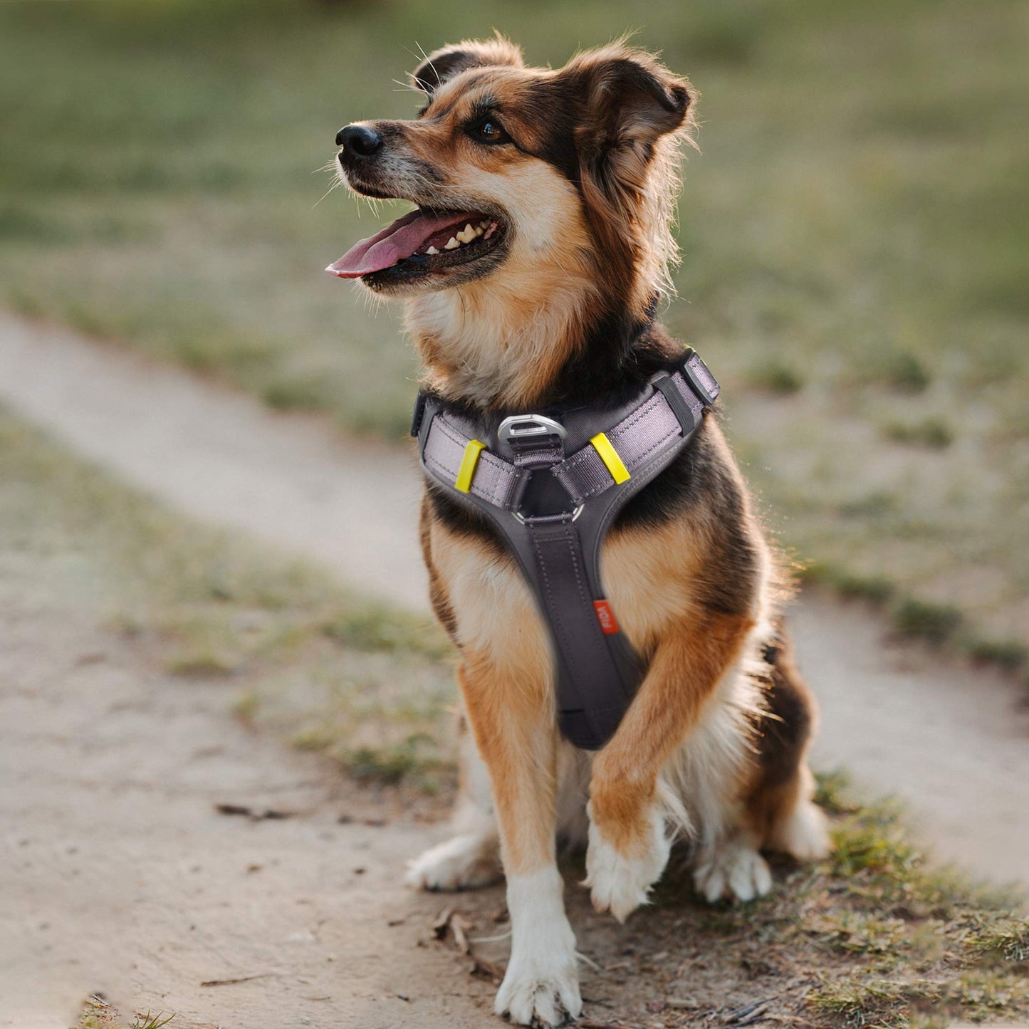 Dog Backpack Harness with Hidden Side Pockets