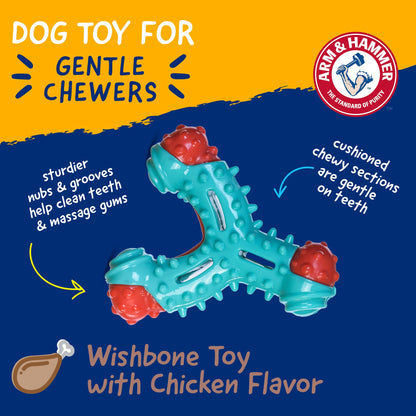 Wishbone Dental Dog Chew Toy with Chicken Flavor
