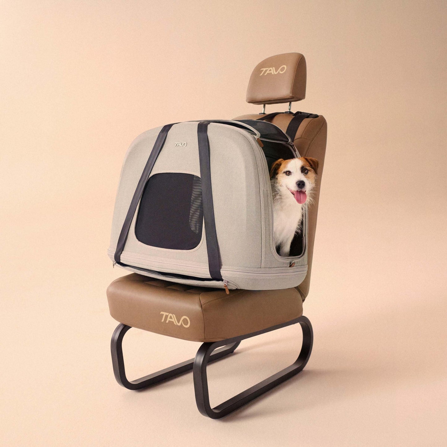 Crash-Tested Pet Travel Crate with Memory Foam