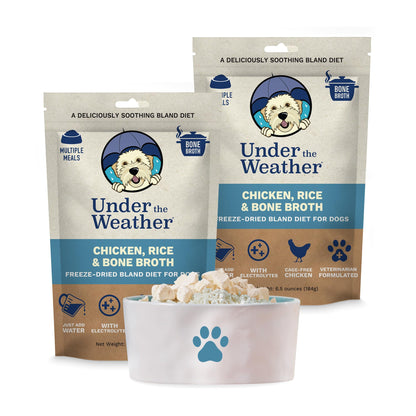 Easy-Digest Bland Diet Dog Food with Electrolytes