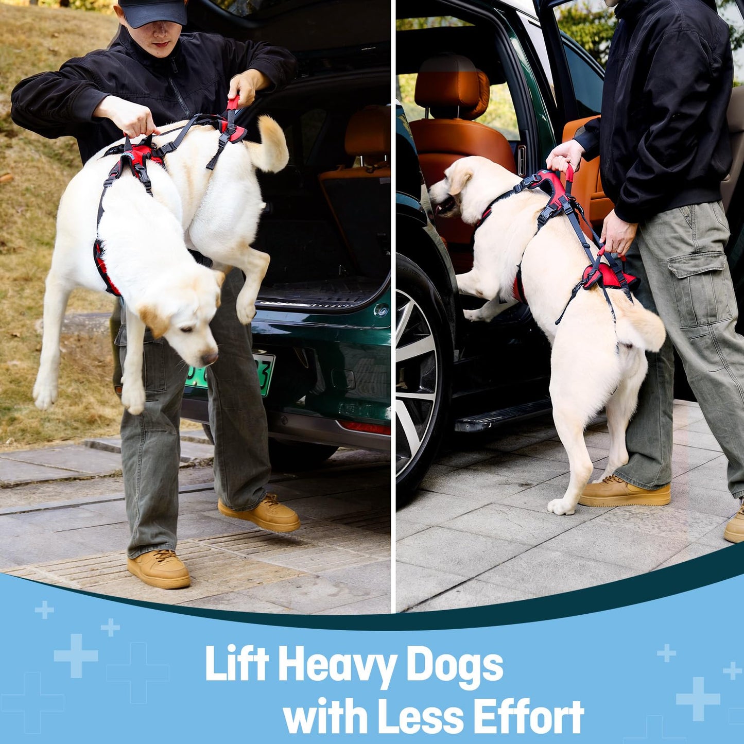 Full-Body Dog Lift Harness for Senior Dogs