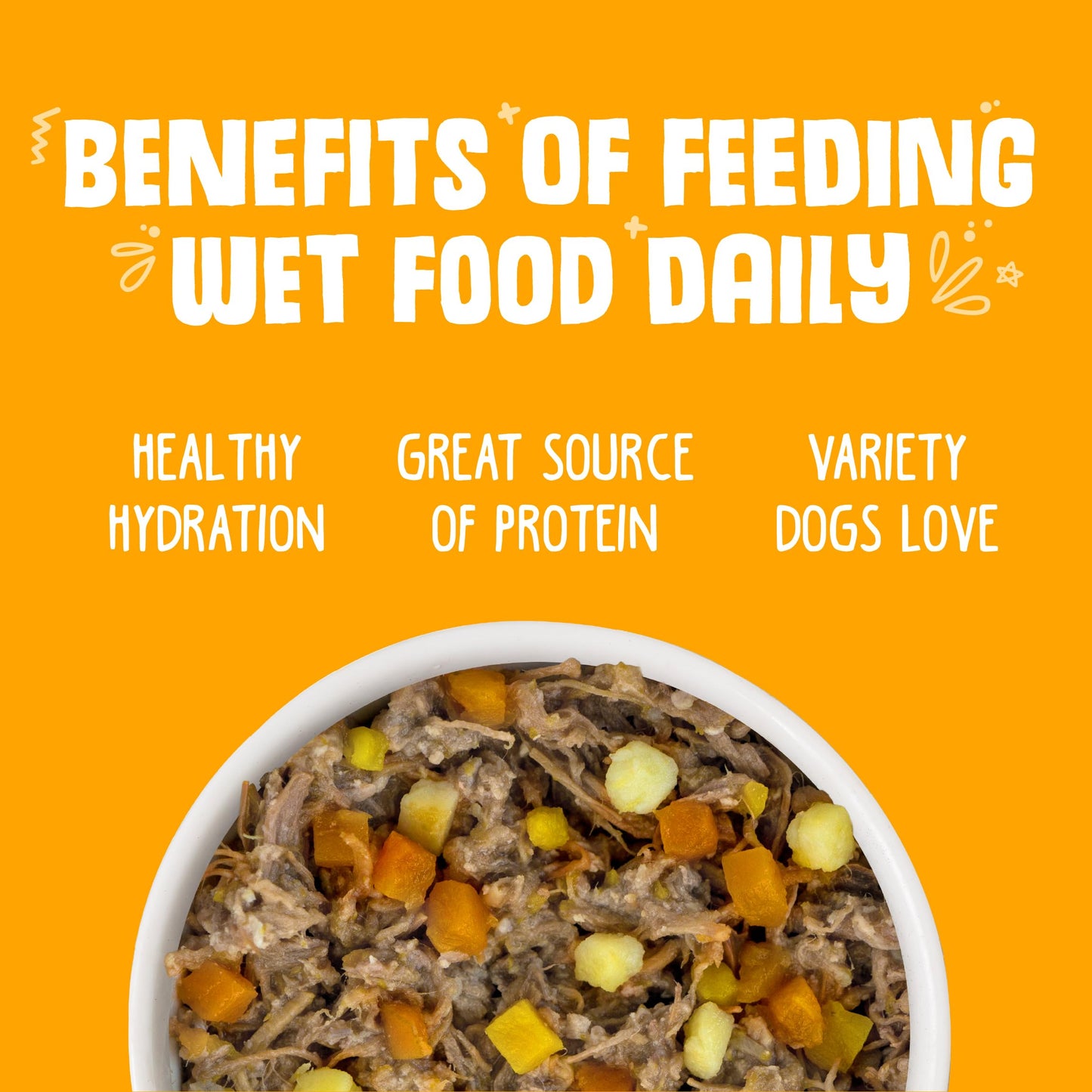 Waterproof Remote Training Collar for Two Dogs