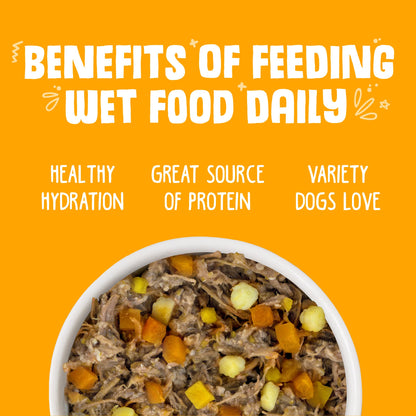 Waterproof Remote Training Collar for Two Dogs