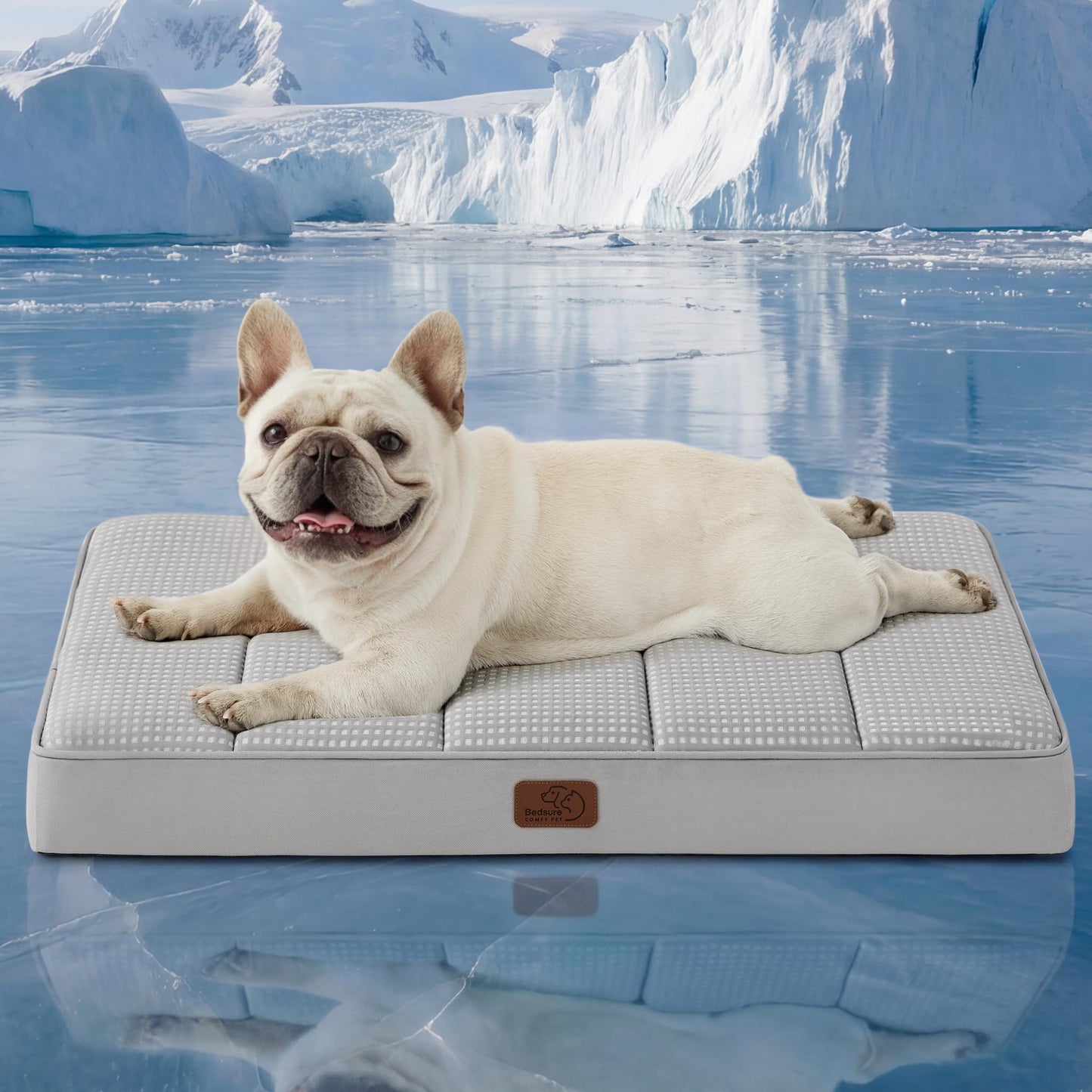 Washable Sherpa Dog Bed for Large Dogs