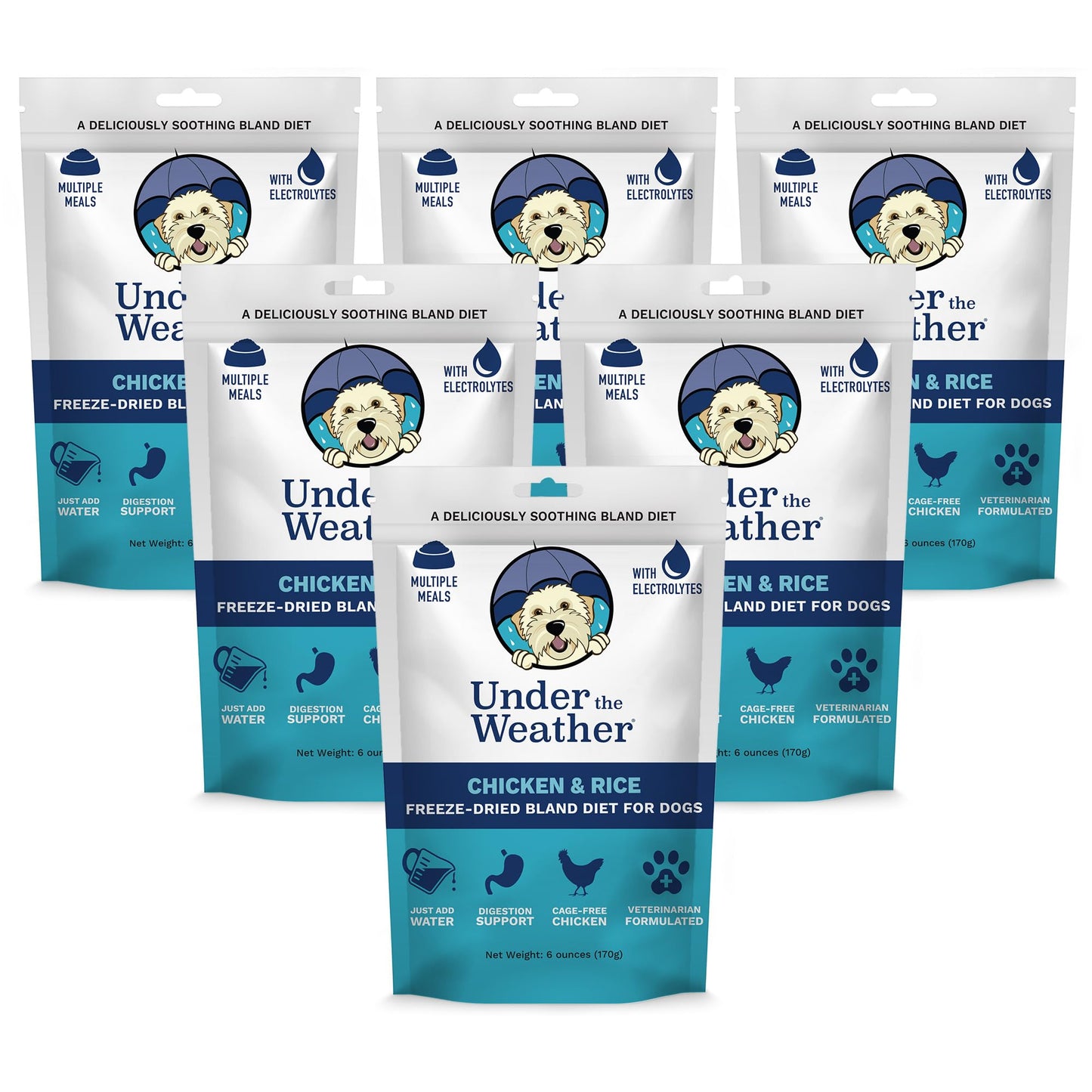 Easy-Digest Bland Diet Dog Food with Electrolytes