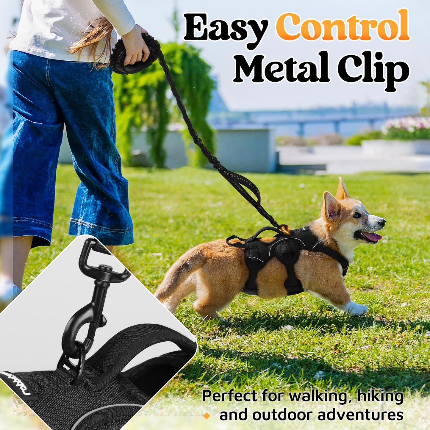 No-Pull Dog Harness with Lift Handle