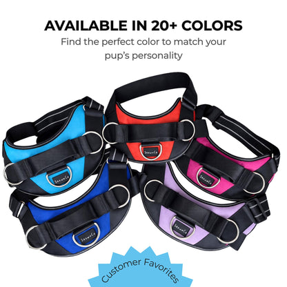 No-Pull Padded Dog Harness with 3 Leash Clips