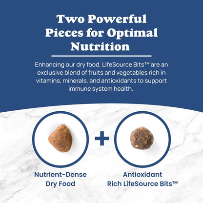 Adult Dry Dog Food for Daily Nutrition