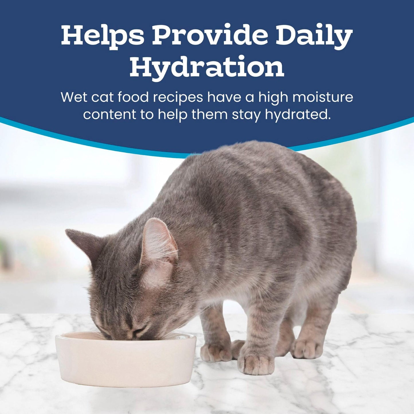 Natural Flaked Wet Cat Food for Daily Nutrition