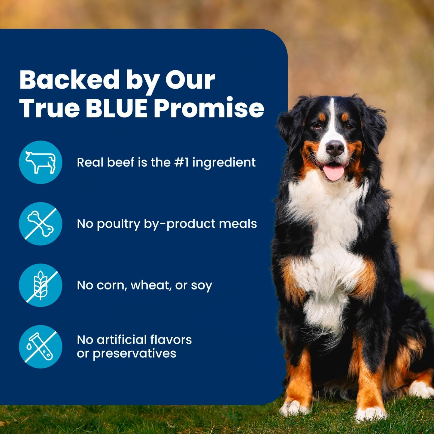 Blue Buffalo Life Protection Formula Adult Dry Dog Food