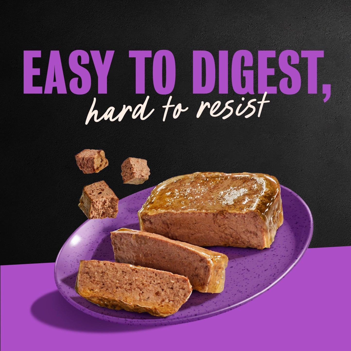 Adult Wet Dog Food Loaf in Sauce Variety Pack