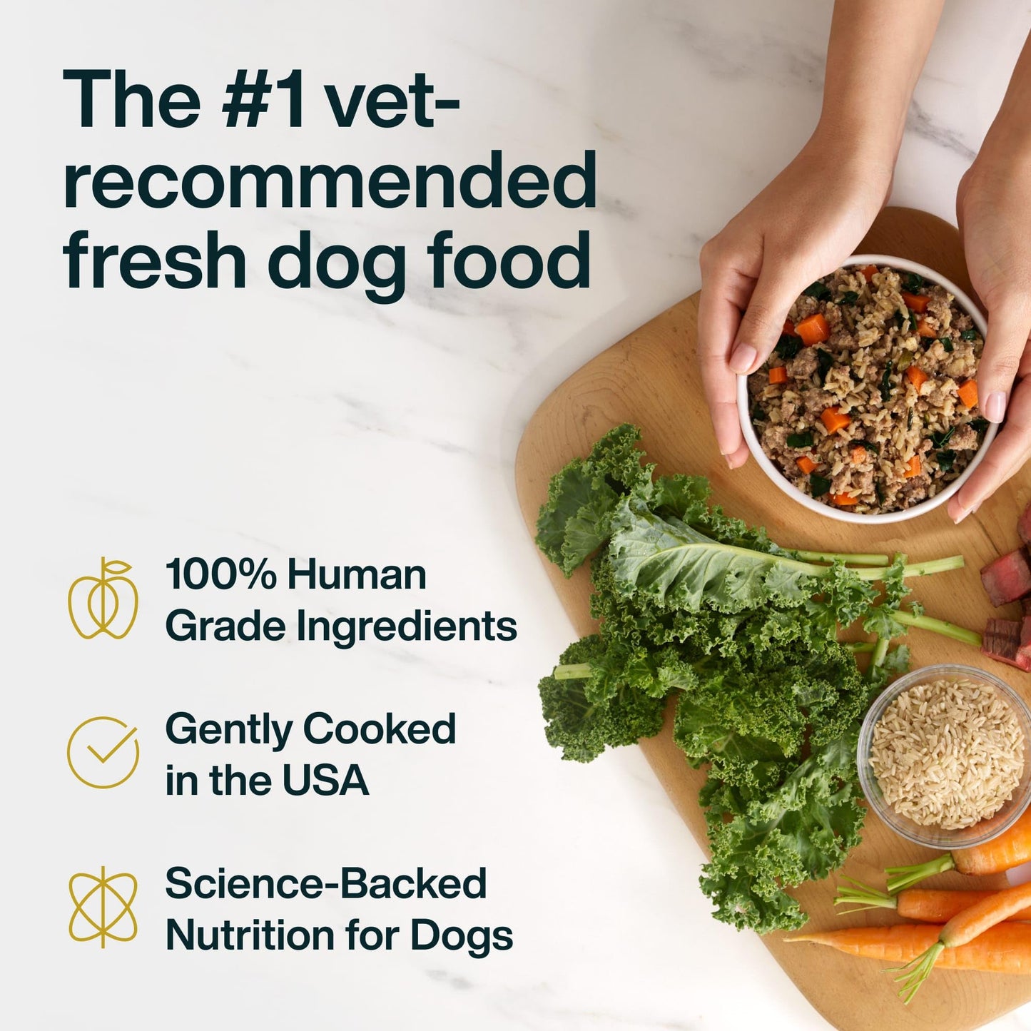 Fresh Wet Dog Food with Human-Grade Ingredients